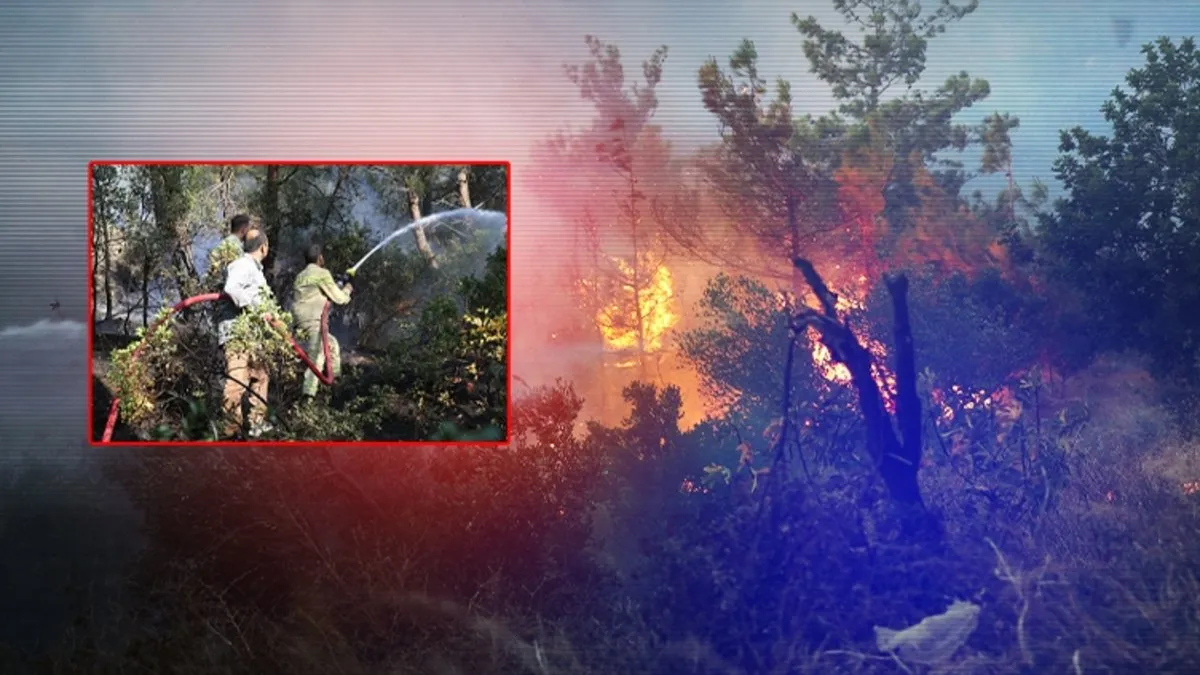 SON DAKİKA | Hatay’da orman yangını! Valilikten açıklama: Alevlere evlere sıçradı